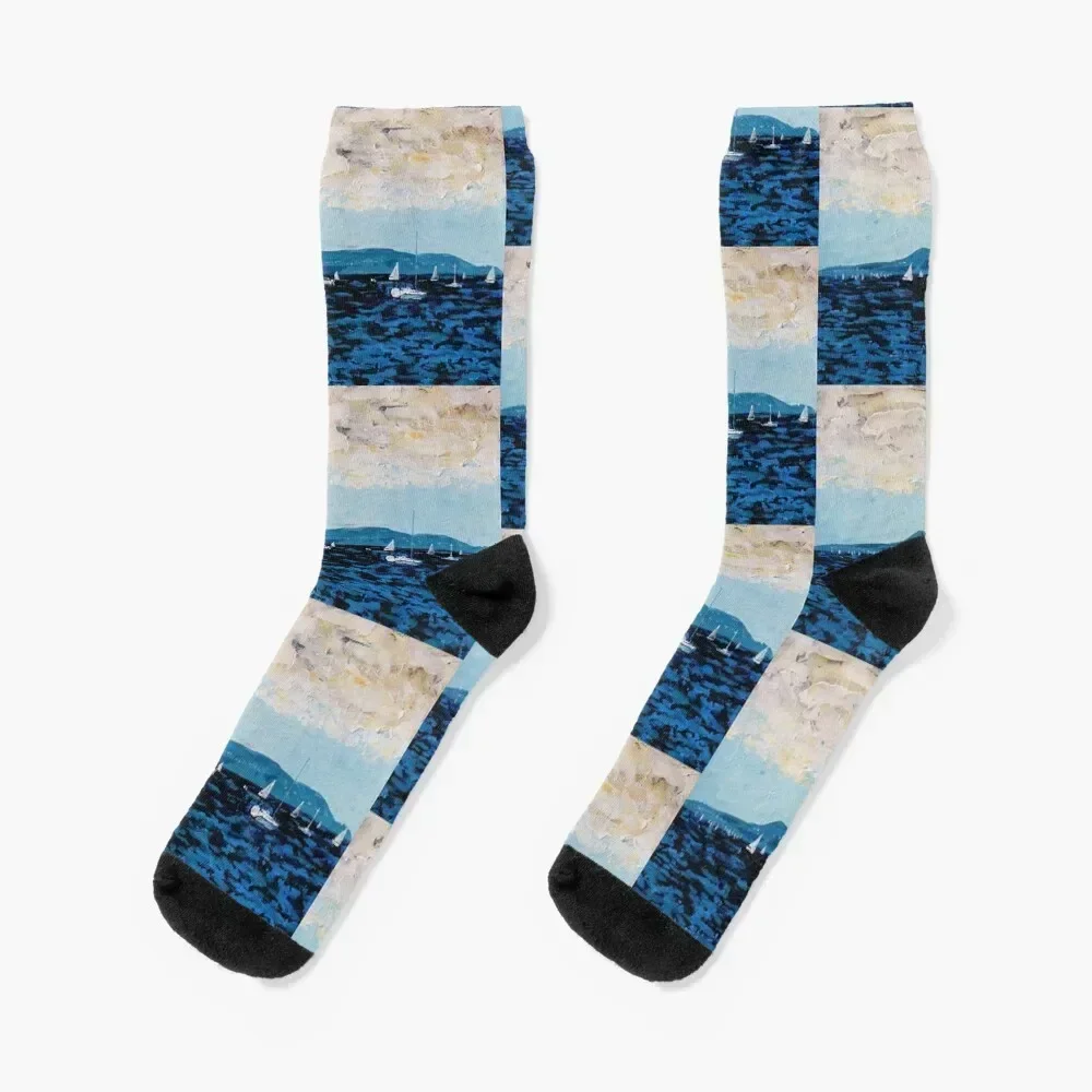 

Howth Head and Dublin Bay (Ireland) Socks soccer anti-slip floral Heating sock winter gifts Socks For Men Women's