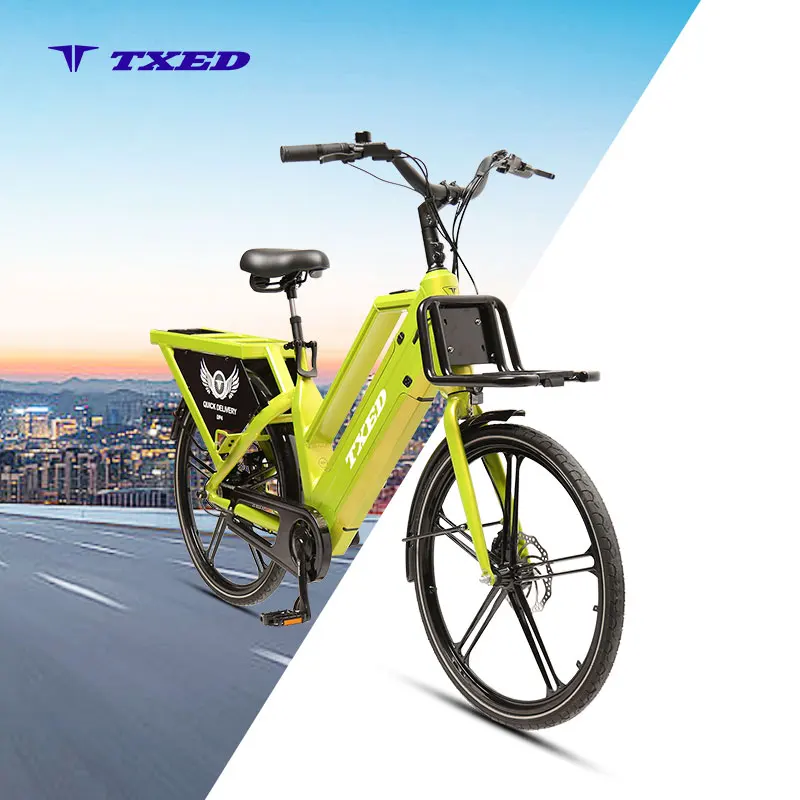 Unique 2 Battery Electric Cargo Bike Single Speed Ebike Delivery Cargo on Sale