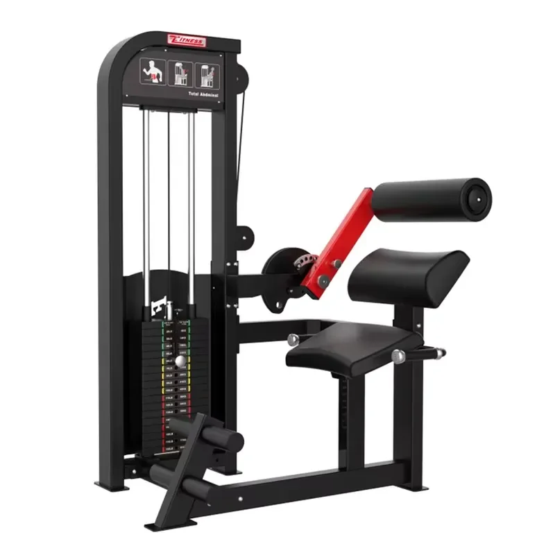 Professional ABS Workout Machine for Gym and Fitness Studio