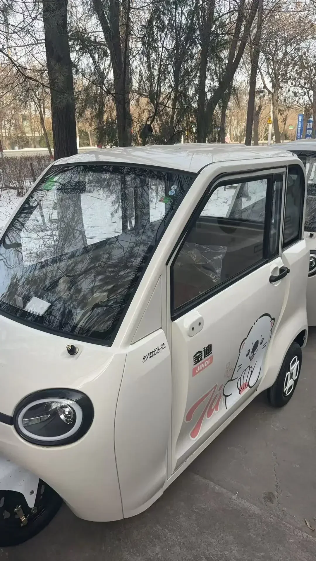 New Energy Car Electric VehicleTricycle with Shed Home Small Old Age Walker 100A Battery Environmental Protection Interior