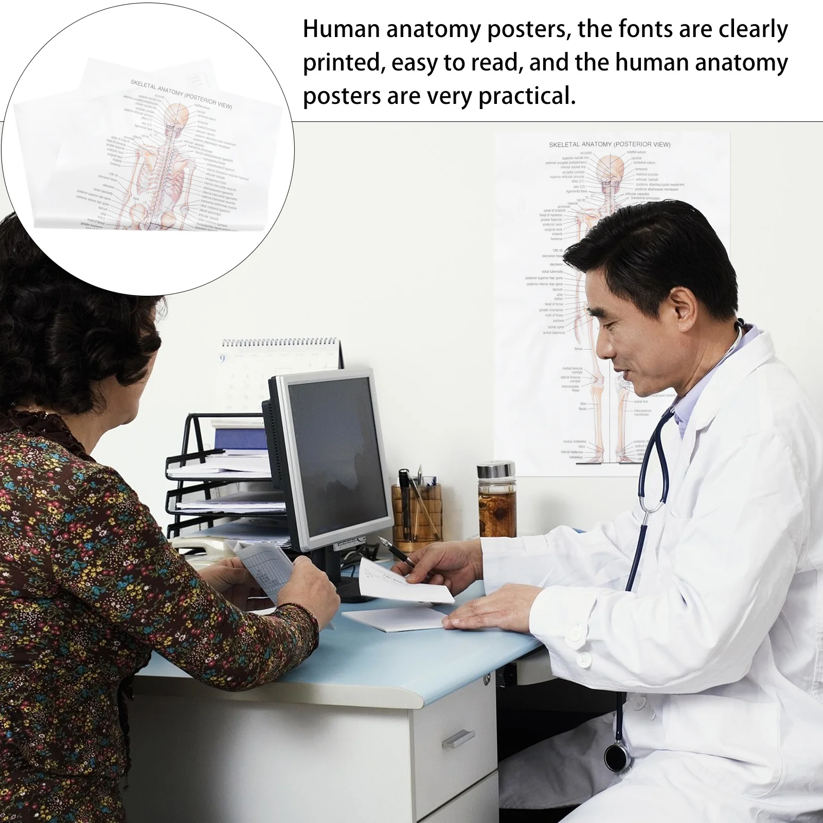 

Human Anatomy Poster Premium Skeletal Structure Decorate Decoration Decorative Silk Cloth System