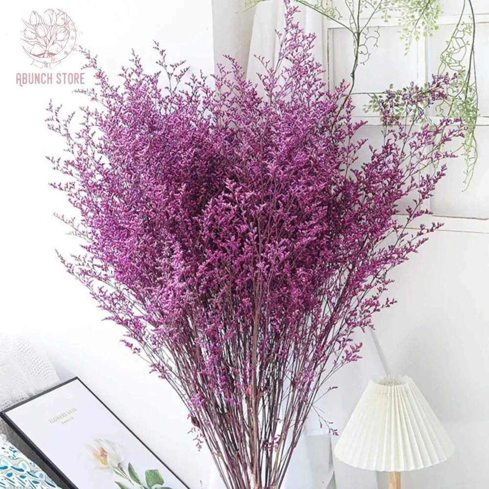 70g Natural Limonium Grass Dried Flowers Bouquet for Nordic Boho Home Decor Fluffy Pampas Valentine's Day Wedding Diy Decoration