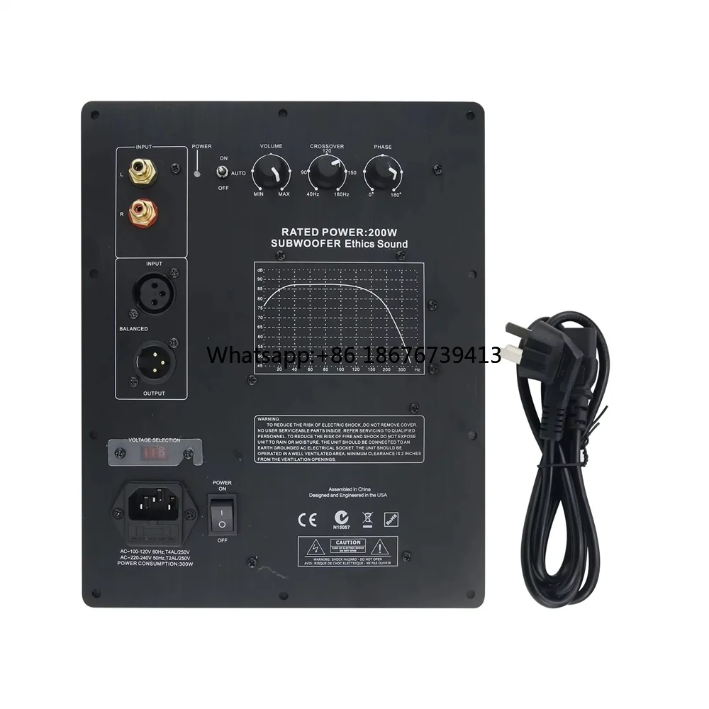 Theater Audiophile Subwoofer Amplifier Board Plate Amp Ethics Sound Rated 200W Output