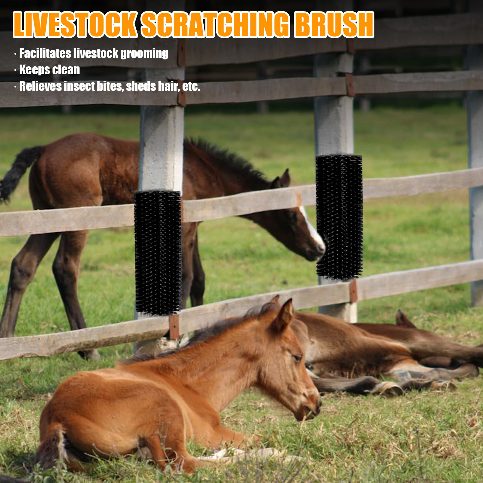 Набор кистей для царапин для скота из 4 предметов, сверхмощный инструмент для ухода за коровью, лошадью, козой