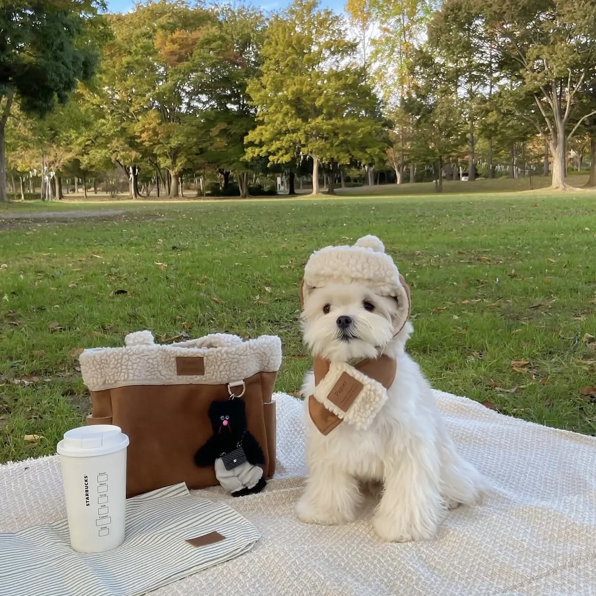 

Милый комплект: шапка-ушанка и шарф с меховой подкладкой для собак, теплые и мягкие универсальные аксессуары для питомцев на осень-зиму