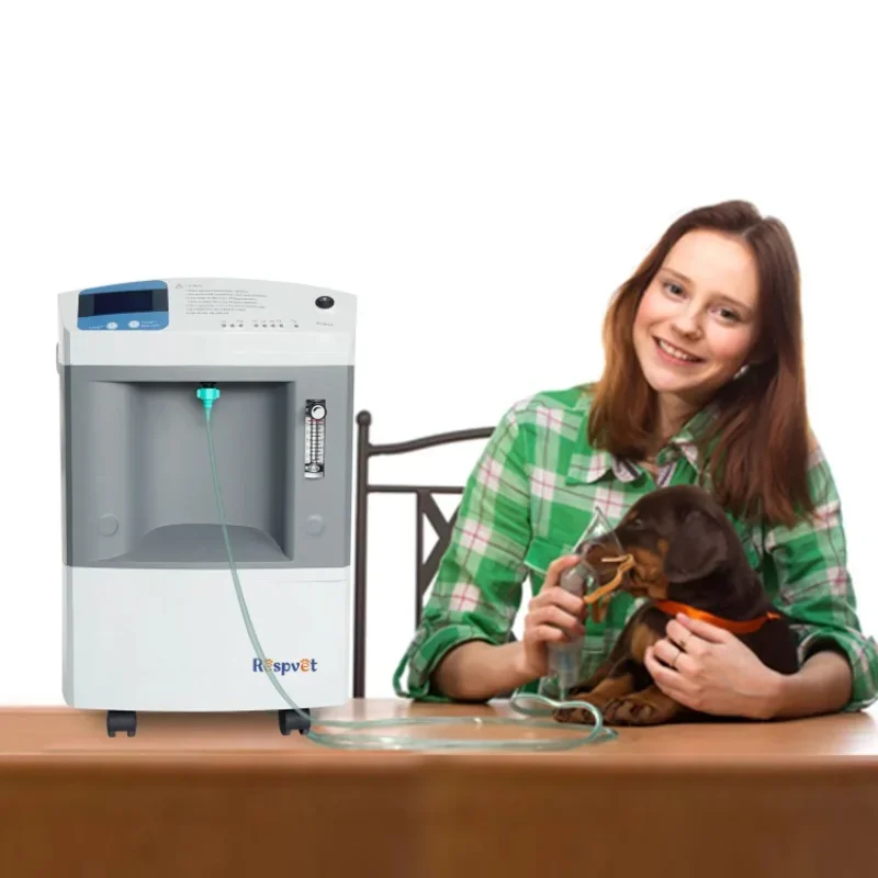 Veterinary Equipment  High Purity 10L/min  concentrator for  Animal Pet Clinic&Hospital  Machine