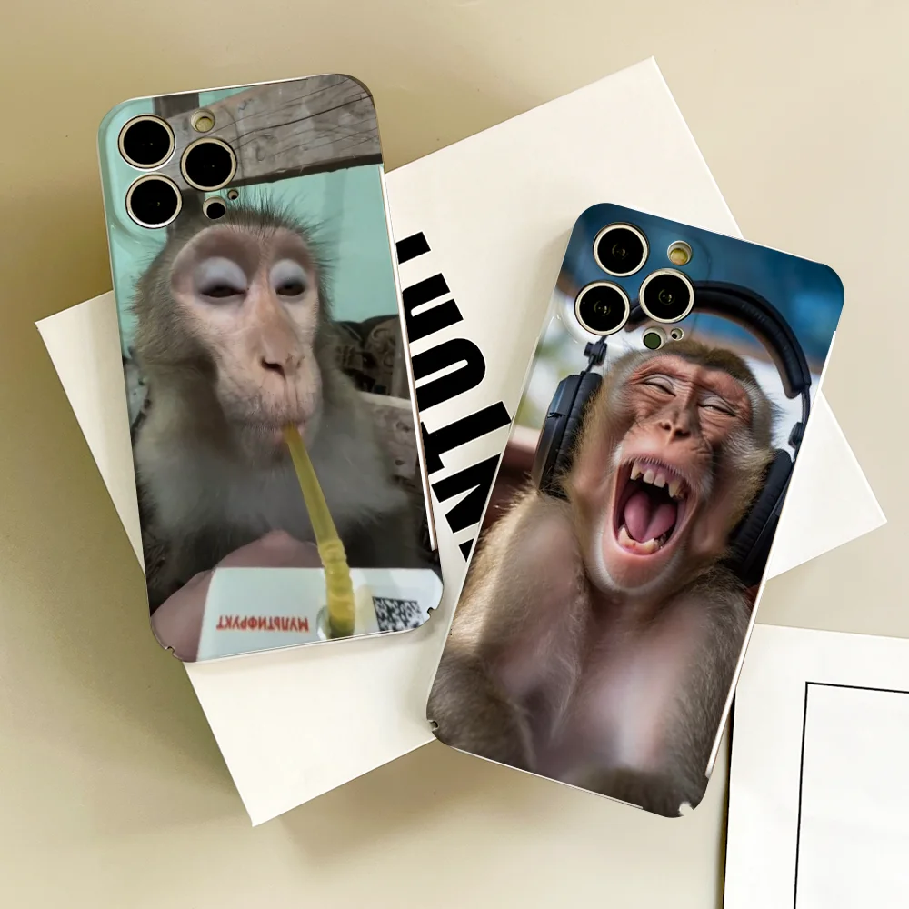 Funny Monkey Phone … - image