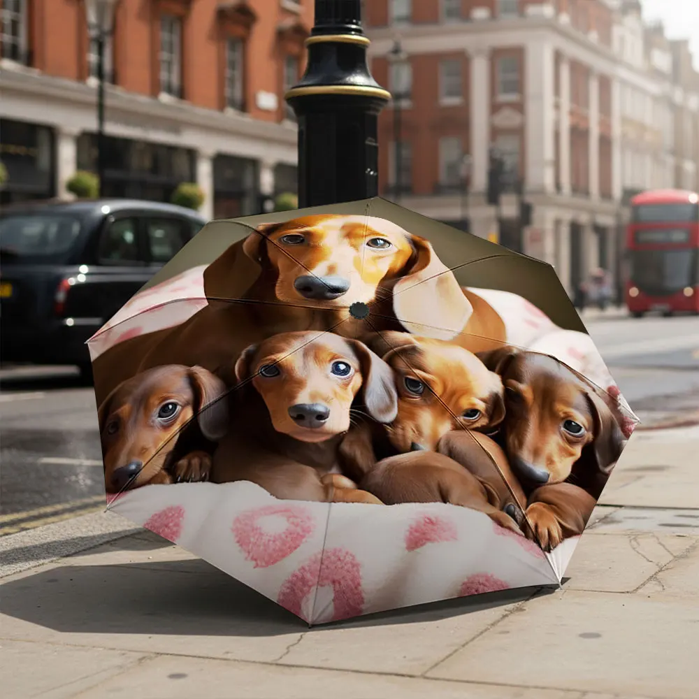 1P C Adorable Dachshund Family Print Umbrella Print 8 Iron Ribs Folding Umbrella Auto-Open Fashion Sunshade