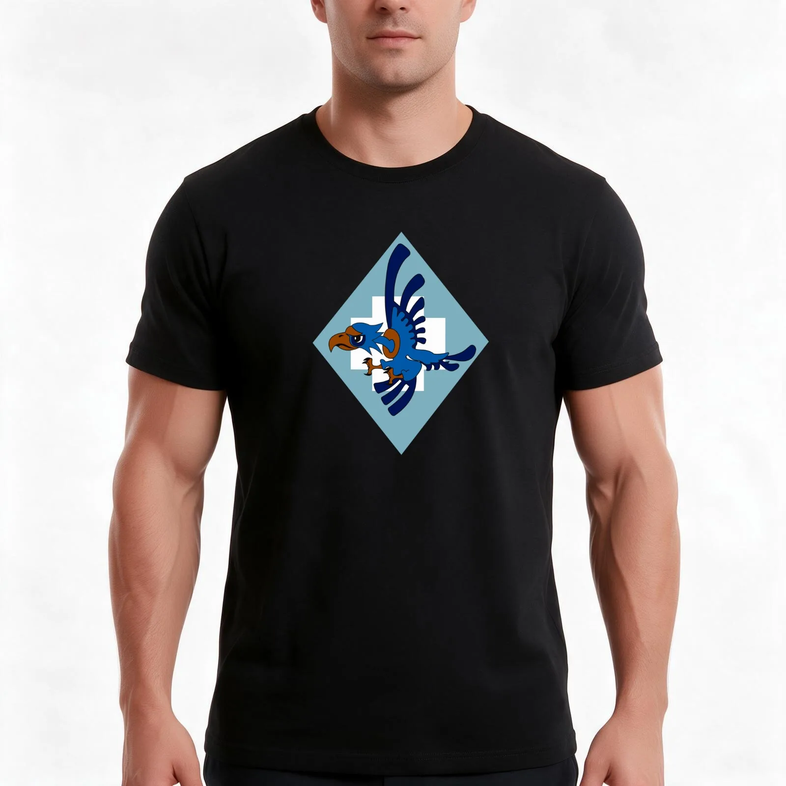 Polish SZ RP - No. 317 Fighter Squadron Wileński - Clean Style T-Shirt, Summer Casual Cotton Tee, Oversized Streetwear Tops