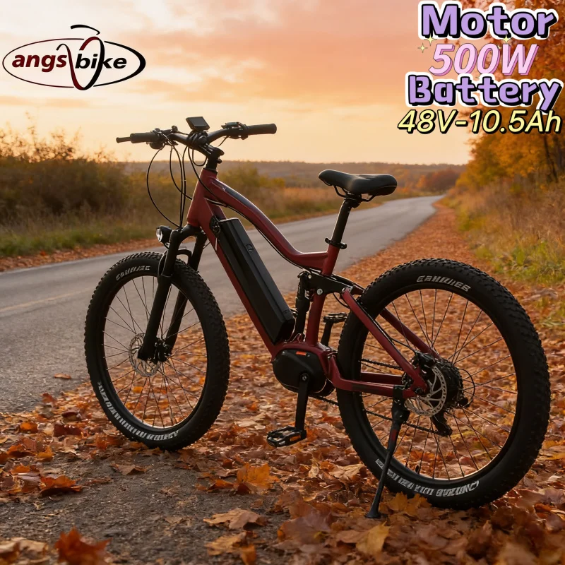 48V10.5AH Lithium B…