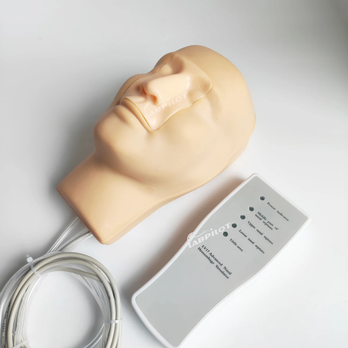 

Advanced Nasal Hemorrhage Teaching Simulator Epistaxis Hemostasis Nursing Training Model