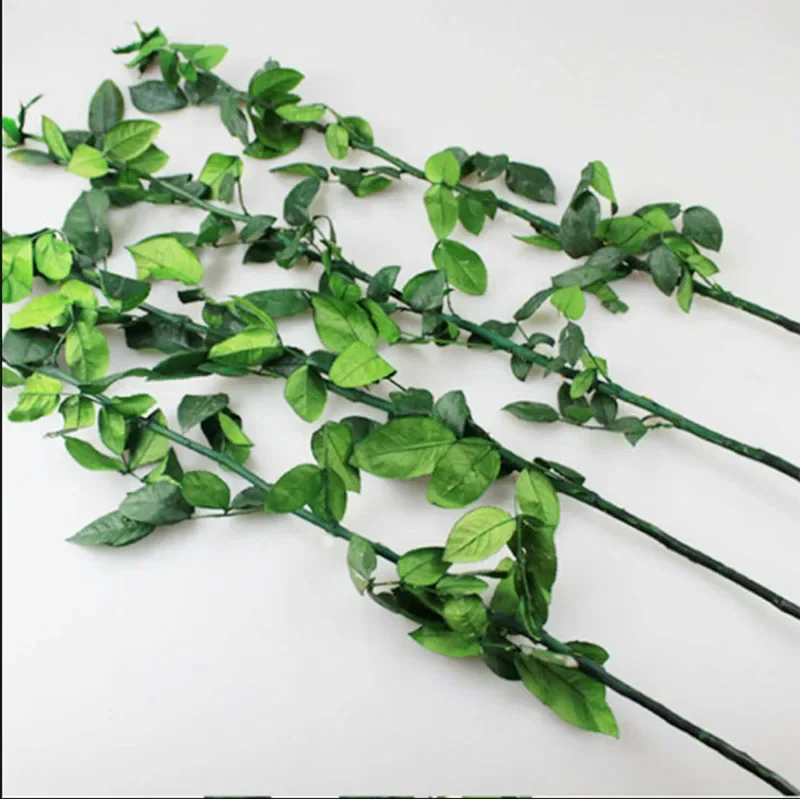 Mother's Day gifts 20pcs 20cm 40cm Long Natural Preserved Branch Rose Stem for Grafting Flowers Venue Bridal Home