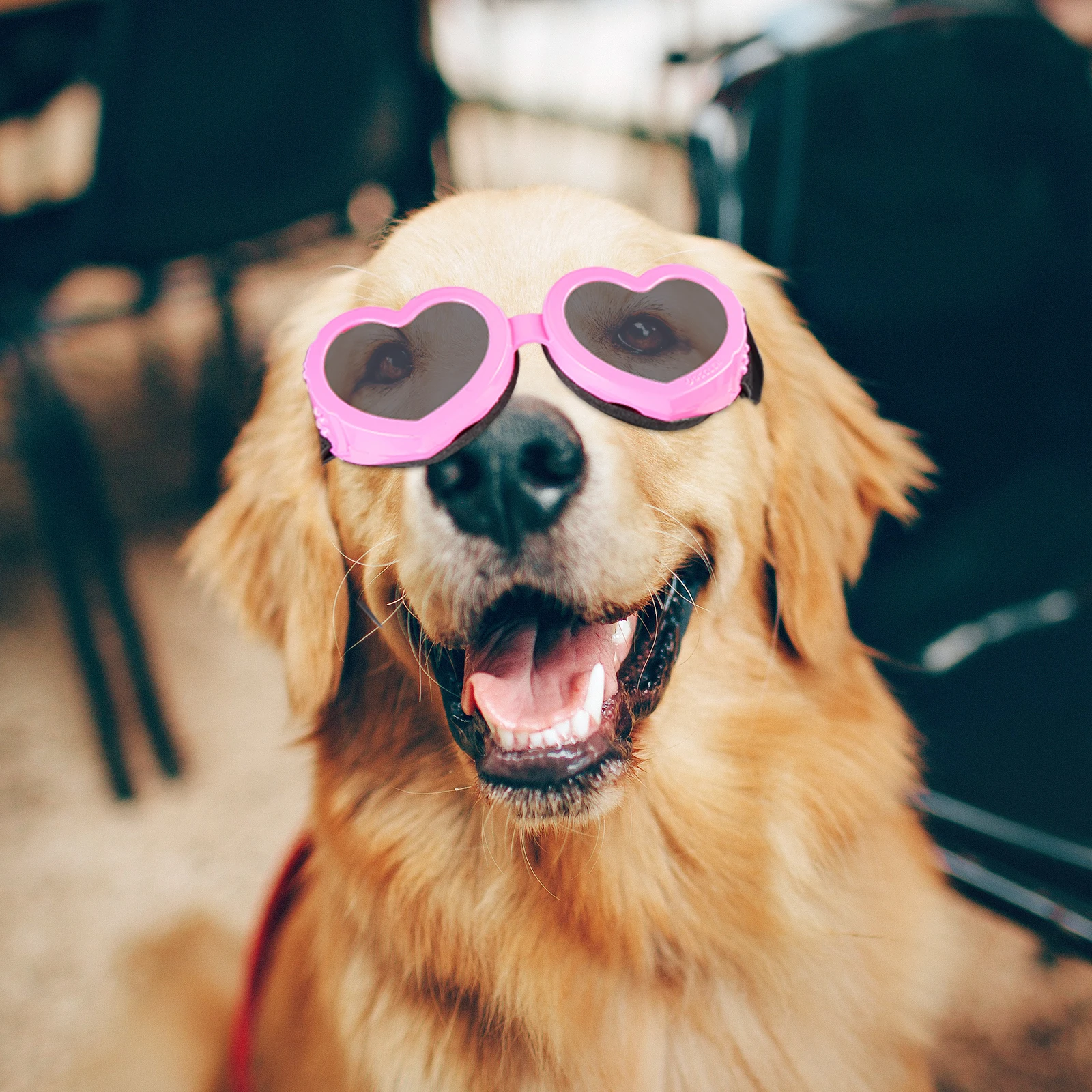

Pet Sunglasses Shaped TPEE UV Protection Waterproof Dog Eye Outdoor Dog Sunglasses Wear Outdoor Windproof Accessories