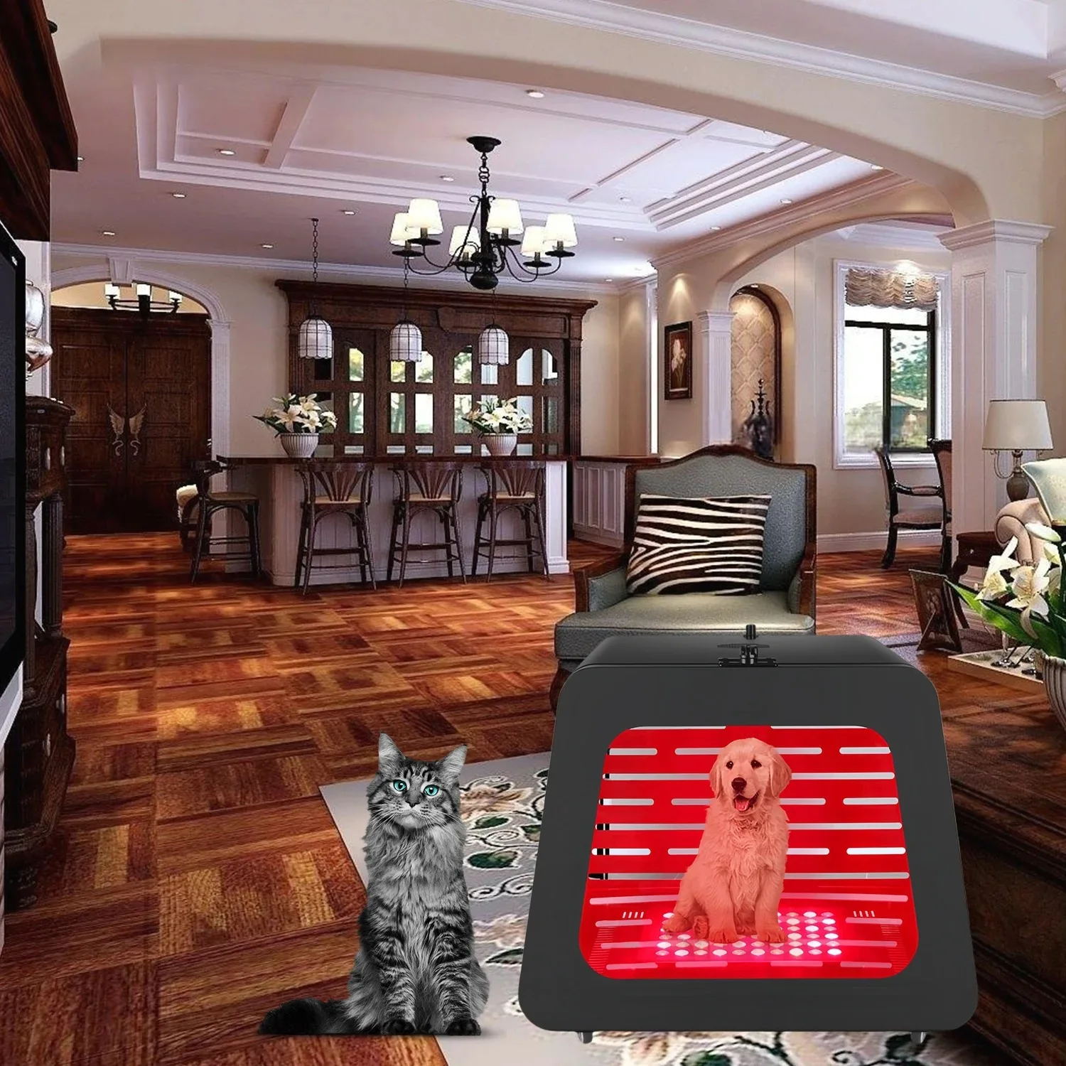 OEM ODM PDT Infared Dog Cat Pet Crate Red Light Therapy Carrier Kennel Pet Cage Health Device Bed House
