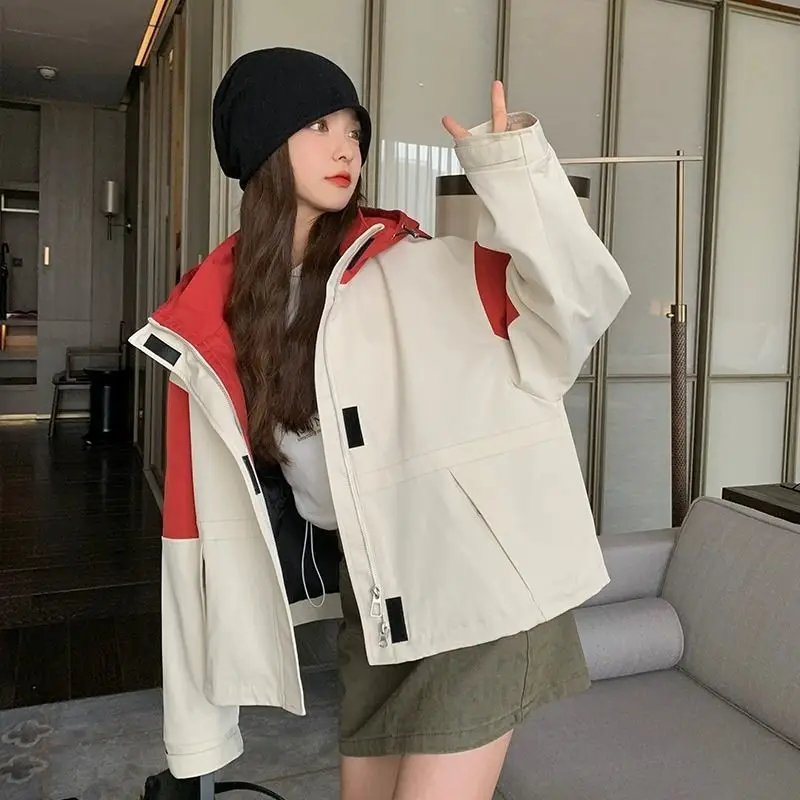 

Женские куртки на молнии Молодежная женская одежда Асимметричный лацкан Slim-Fit Воротник-стойка Чистый простой элегантный передний карман Короткий Insi