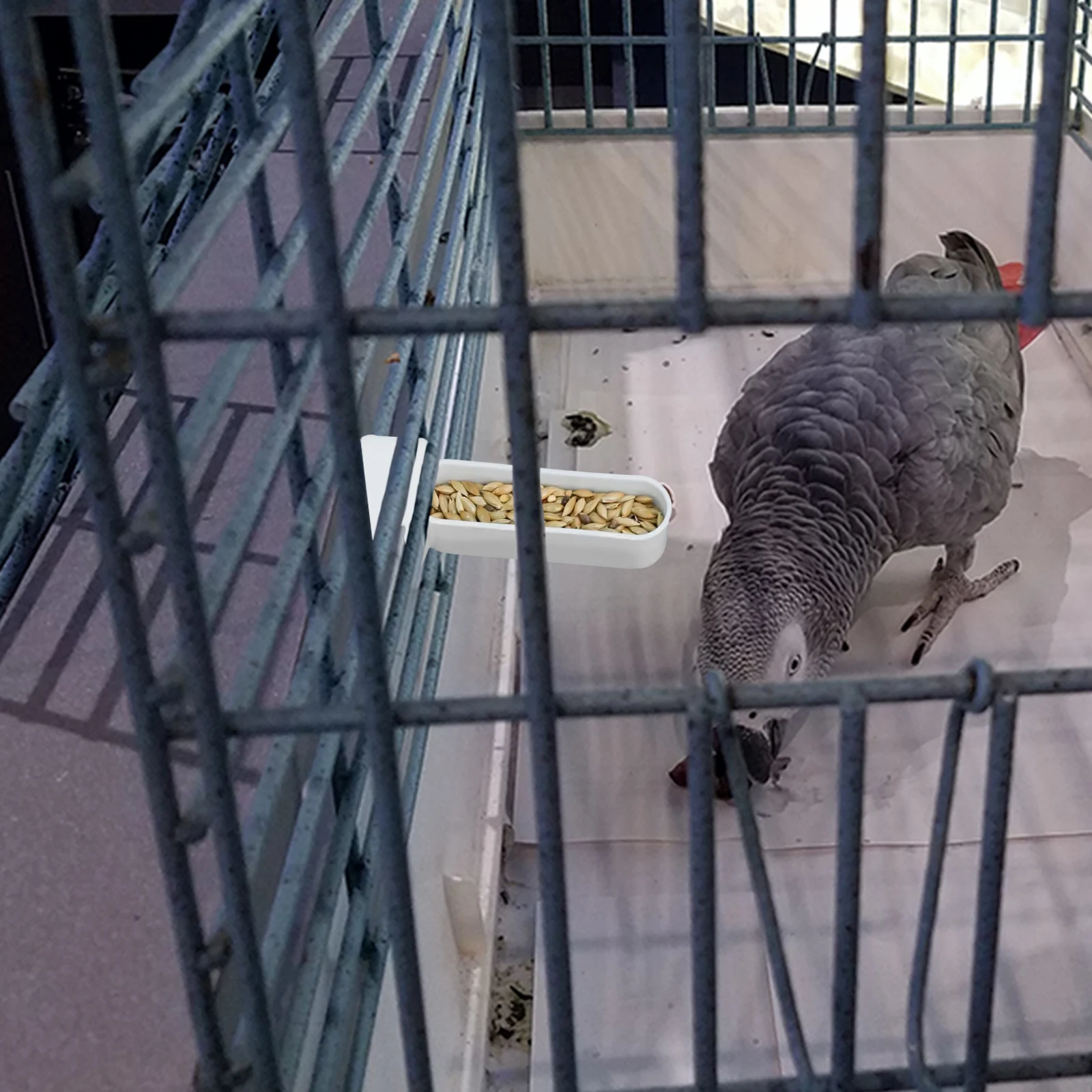 

5pcs Bird Feeder Food Box Cage Thumb Container White Easy Clean Simple Fill Pet Bird Cage Feeder Bowl Parrots Indoor Sturdy