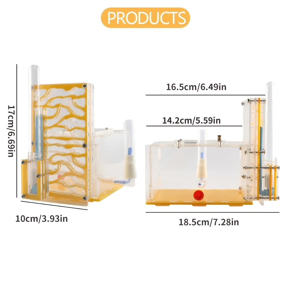 Ant Farm Science Kit - 3D Ant Observation Habitat Ant Farm Science Kit - 3D Ant Observation Habitat