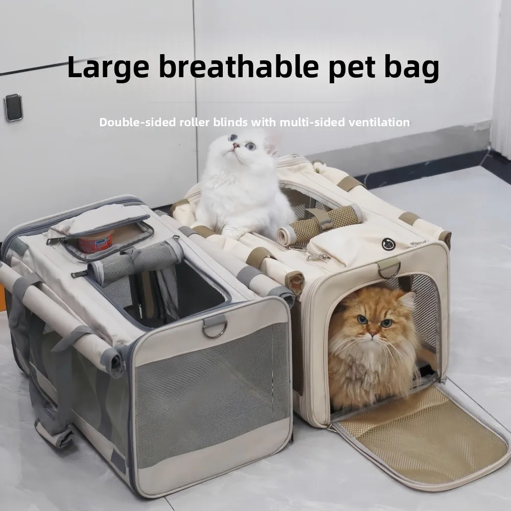 Large Pet Carrier Bag for Two Cats Mesh Ventilated Travel Crate with Carry Handles for Cats Small Dogs Outdoor Use 반려동물 이동가방