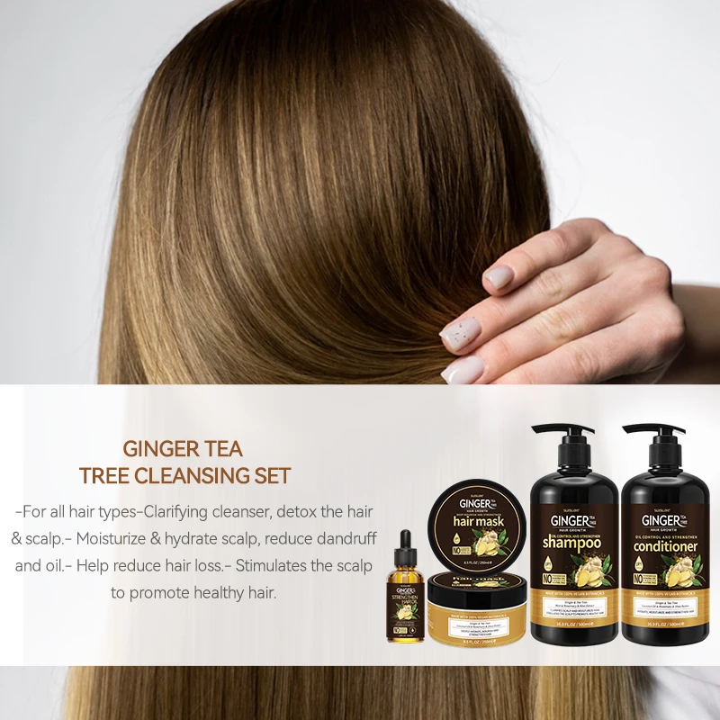 Healthy Natural Organic Hair Care Oil Control Anti Loss Regenerated Tea Tree Ginger Hair Shampoo Set