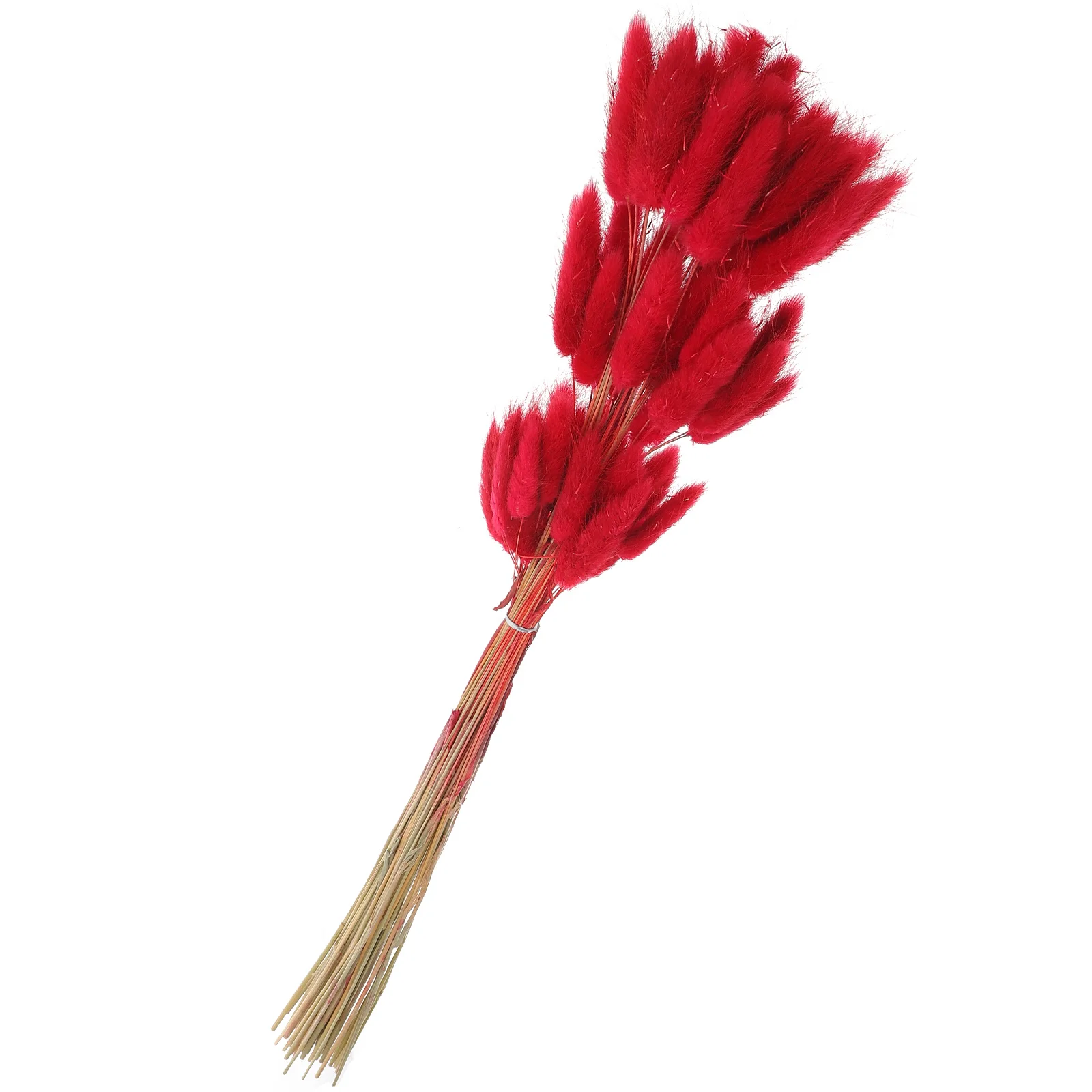 

60Pcs Decorative Dried Bunny Tail Grass Natural Rustic Wedding Home Decor DIY Flower Arrangements Lightweight Dried Plant Decor