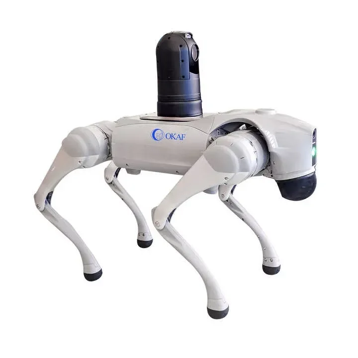 OKAF Go2 Smart Robotic Dog: AI Quadruped Robot With Network Camera For Adults, Tech Enthusiasts & Monitoring
