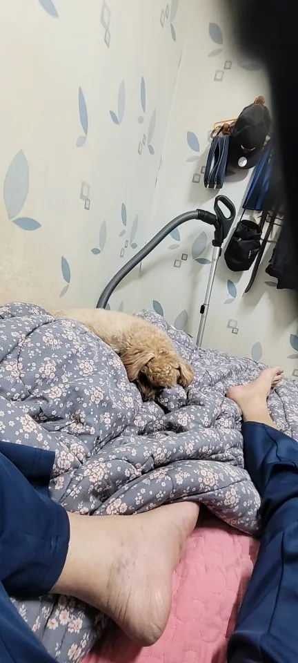 구매후기