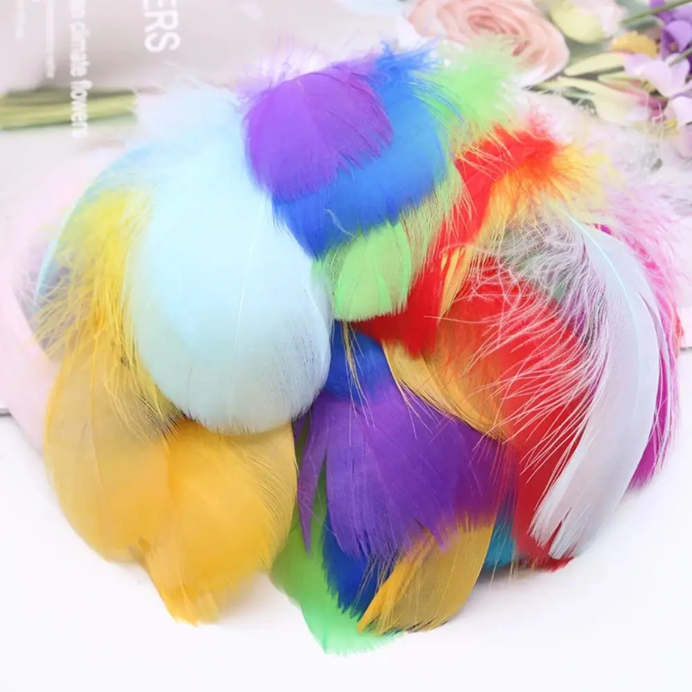 

100pcs Natural Goose Feathers Headdress Floating Small Swan Feather Plume 7-12cm Colourful Dream Catcher Feathers for DIY Craft