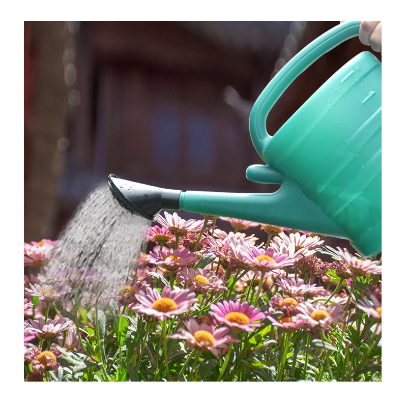 

Dark Green 3L Manual Watering Can for Gardening Resistant to Sun Exposure with 3 Modes for Multiple Scenarios