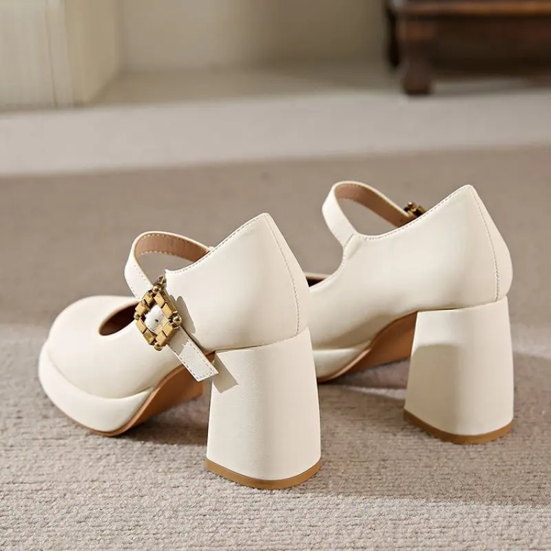 NEW Thick Heels Mary Jane Shoes Women Buckle Strap Square Toe Pumps Woman Leather Shoes Female Fashion Casual Comfort Plus Size