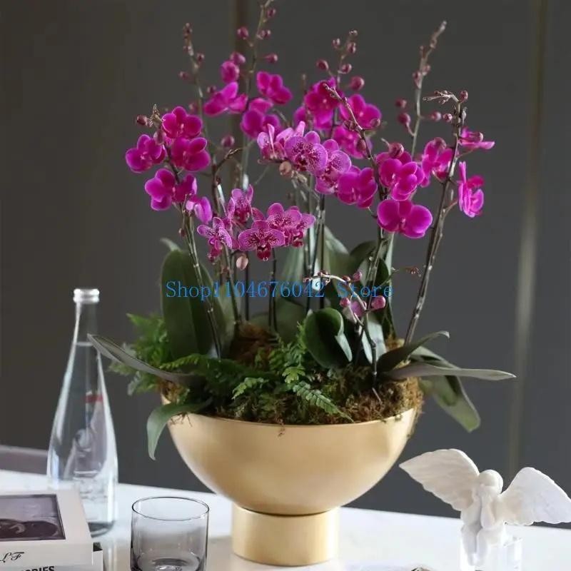 Tall Flowerpot Orchid Golden Metal Open Flower Vase Flower Arrangement Accessories Plant Pots Balcony Decoration