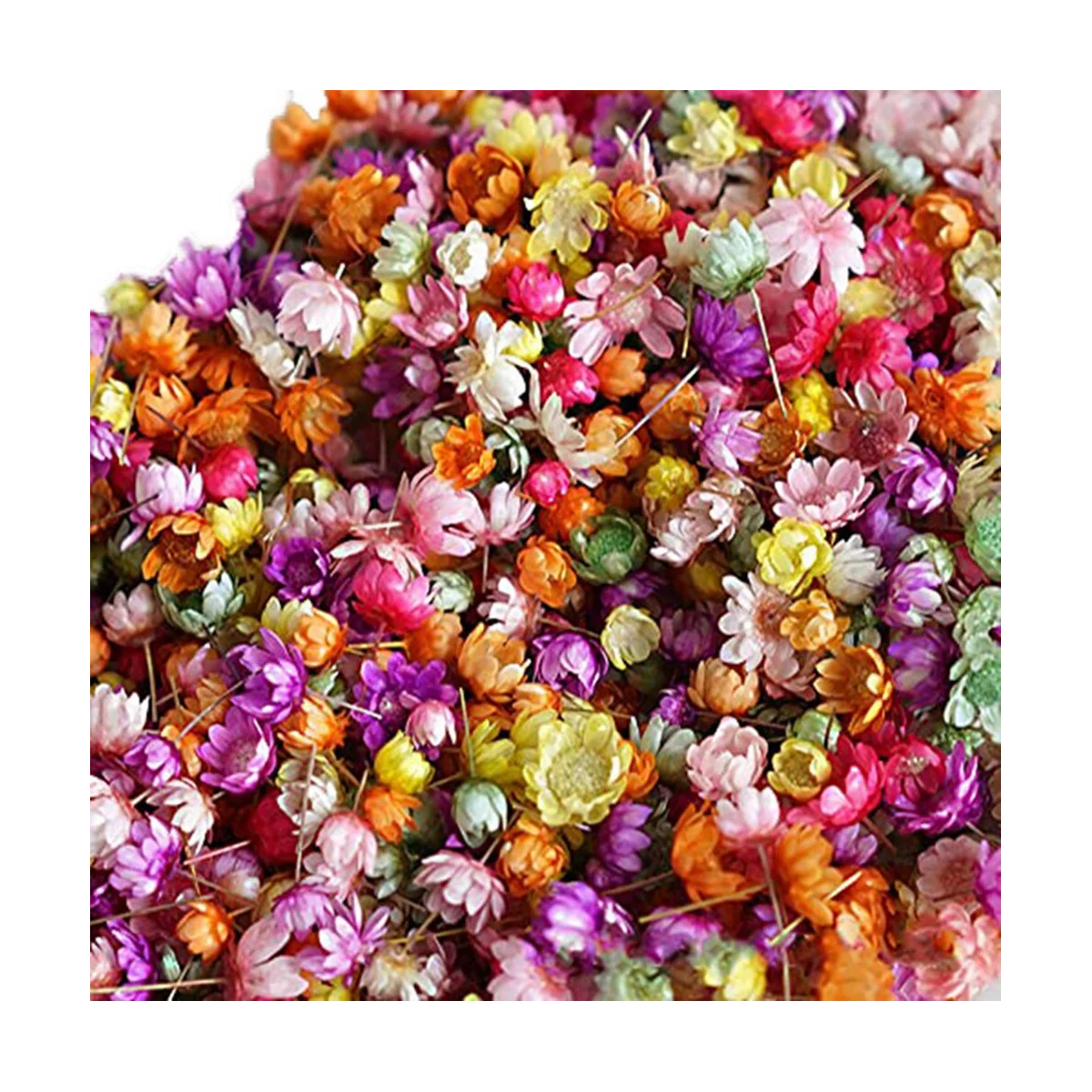 1420Pcs Pressed Real Dried Flowers Leaves for Epoxy Resin Jewelry Making Nail DIY