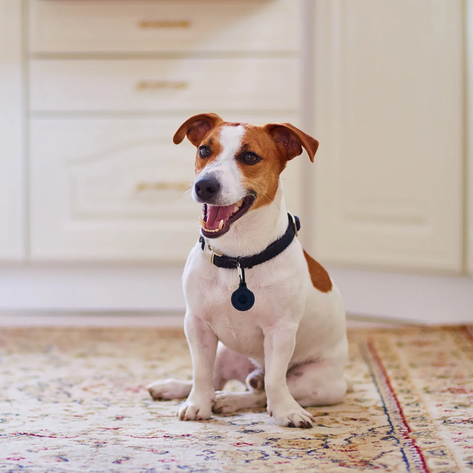 

Cover Protective Case Lightweight Silica Gel Anti Scratch Shell Portable Car Key Bag Pet Collar