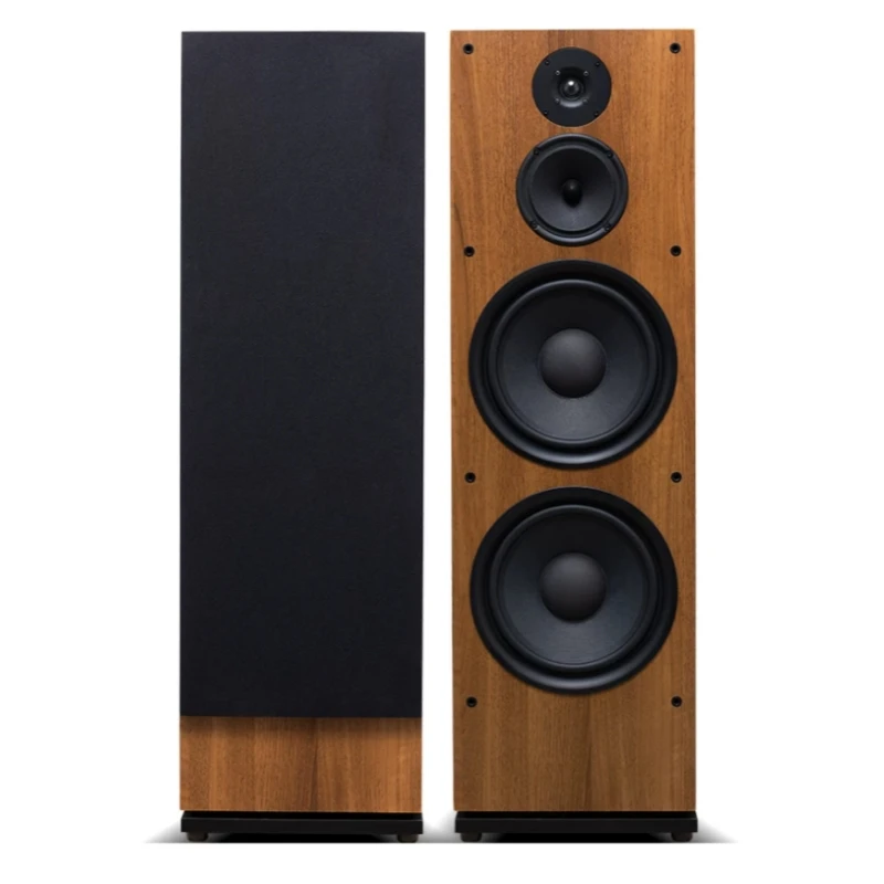ONL-10 T10 Dual 10-Inch 3-Way Floor Standing Speakers, 1