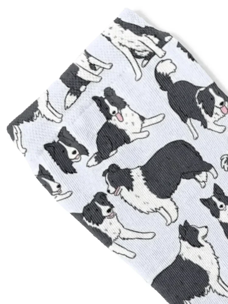 Border collie dog cute pattern Socks Hiking boots professional running Designer Man Socks Women's