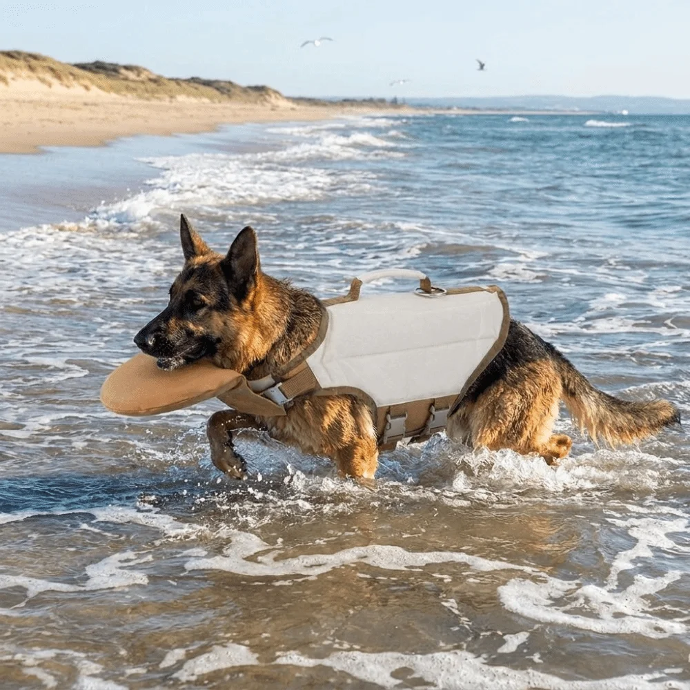 Dog Life Jacket Vest Buoyancy Handle - Chaleco salvavidas ajustable para perros, traje