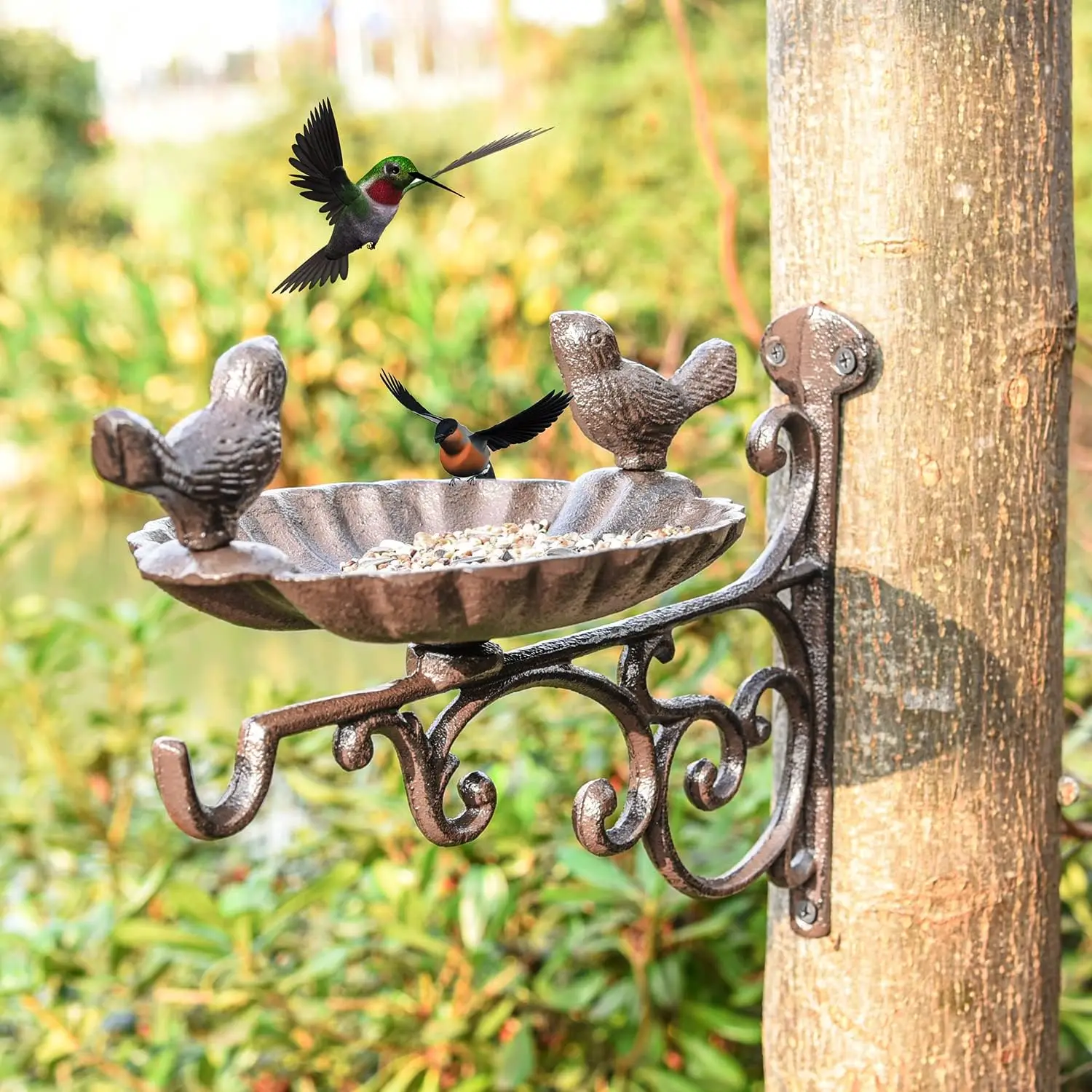 Heavy Duty Cast Iron Bird Feeder with Hanging Bracket - Wall Mounted Bird Bath - Vintage & Lovely Birds Hanger Wall Hook