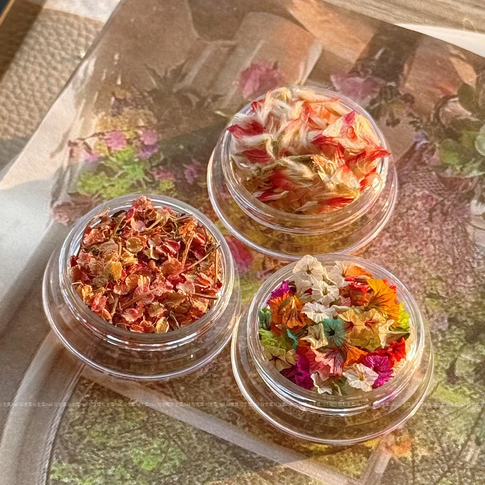 -الصيف الملون-الزهرة الجافة مسمار الملحقات صغيرة طبيعة التطريز فلوريت المجففة جرس الكركديه البتلة مسمار الفن زهر 404