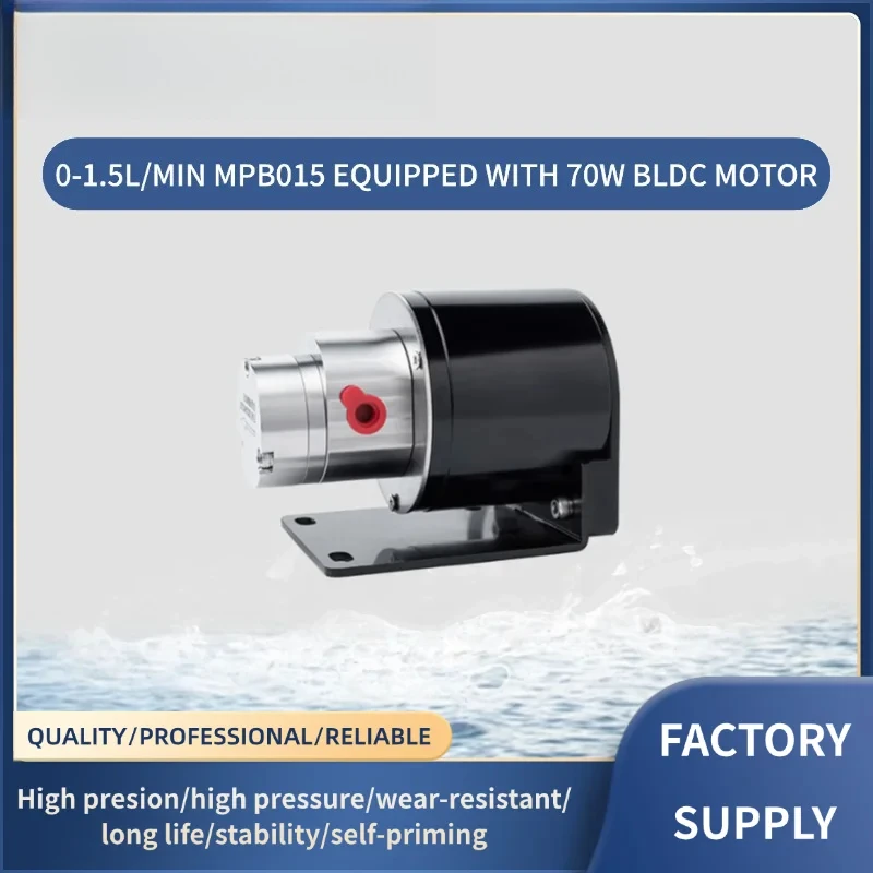 Food Grade Coffee Machine Micro Magnet Drive Gear Pump 316L Stainless Steel Mini Gear Liquid Water Pump With 24V BLDC 40W Motor