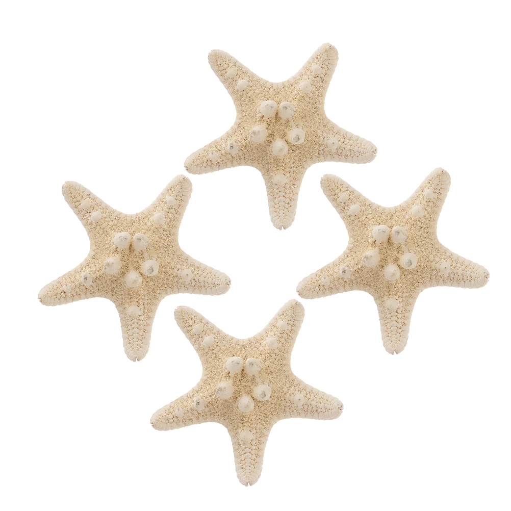 

4 Pcs Natural Conch Shell Steamed Buns Decor Real Craft Projects Home Accent Sea Stars Finger Decorations