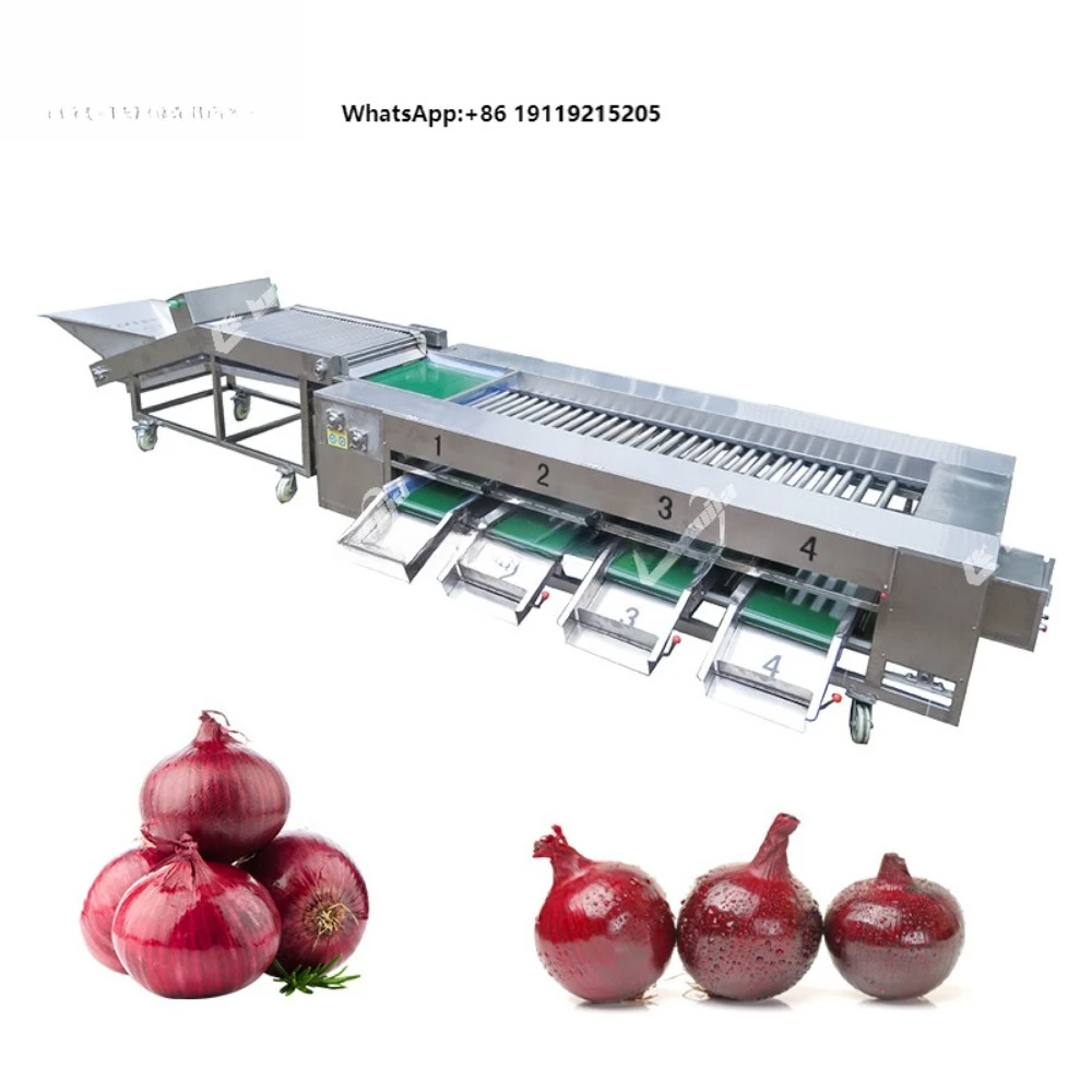 Onion Carrot Avocado Fruit Sorting Washing Machine Vegetable Dicer Food Steam Blanching Drying Machine Tomato Processing Line