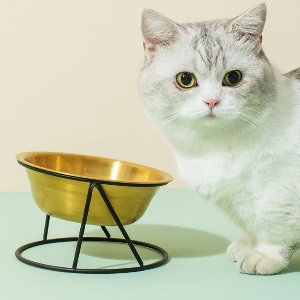 

Golden Stainless Steel Pet Bowl 304 Grade Single Black Iron for Cats Dogs Anti Skid Easy Clean Water Container Feeder