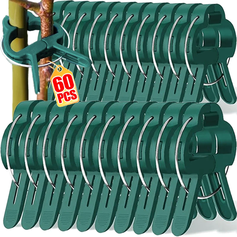 Reusable Garden Plant Fixed Clips for Tomatoes Cucumber Climbing Plants Organizing Branch Vine Support Clip Supplies Wholesale