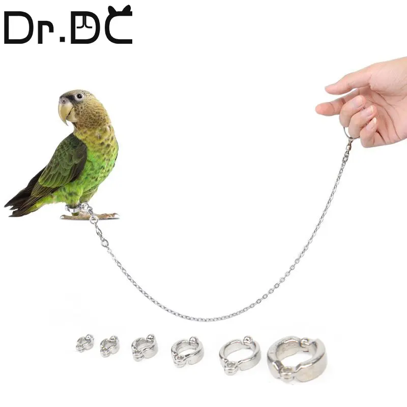 Dr.DC Bord Stainless Steel Chain Parrot Anti-flying Traction Rope Bird Feet Bracelet Alloy Foot Ring Pet Bird Travel Supplies