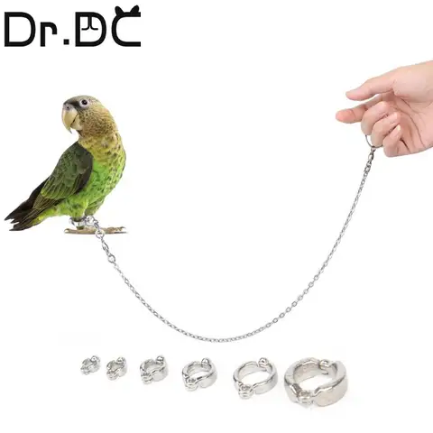 Dr.DC Bord 스테인레스 스틸 체인 앵무새 비행 방지 견인 로프 새 피트 팔찌 합금 발 링 애완 동물 조류 여행 용품
