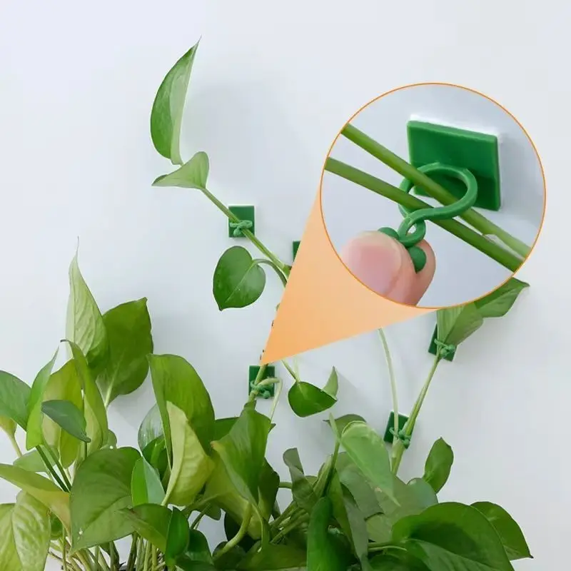 Self‑Adhesive Plant Climbing W - огляд і ціна Indoor Herb Garden