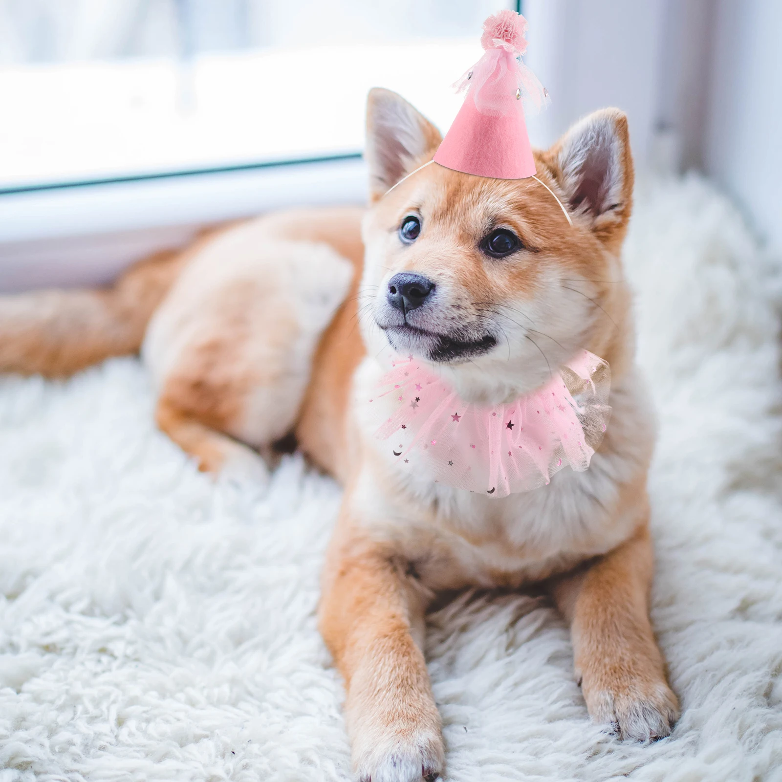 

Pet Accessories Sequin Trim Rhinestone Tulle Skirt Felt Hat Set Costume Photography Cats Small Dogs