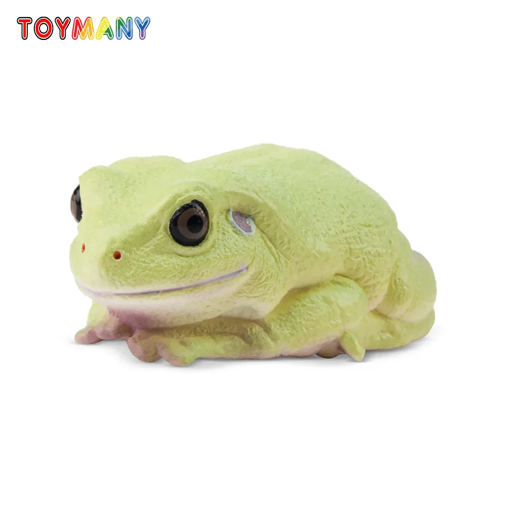 

Toymany Simulation Green Tree Frog Reptile Realm Animal Model Toy Mini Figures Dolls Action Figurines Toys Children Gift