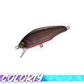 COLOR 19