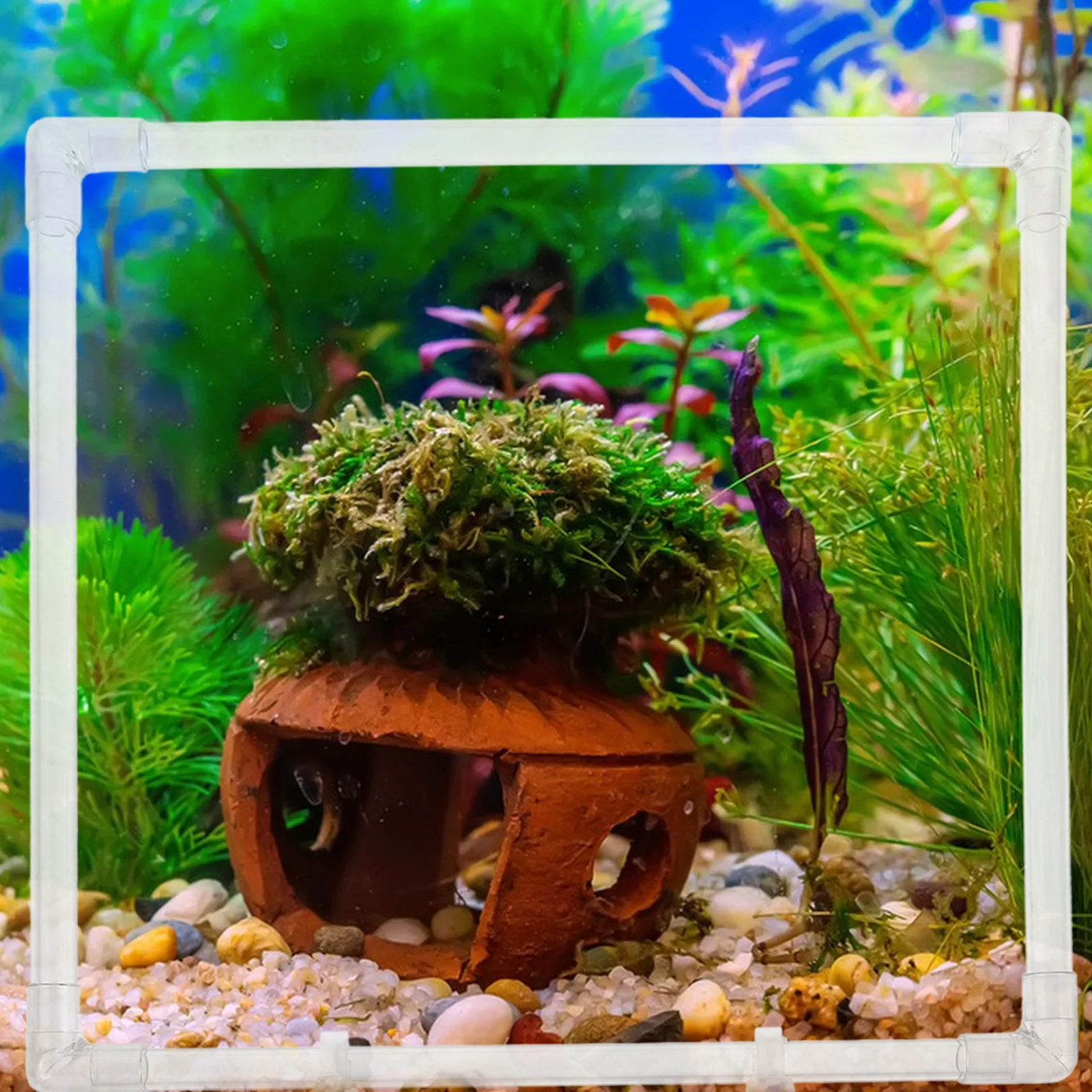 

Feeder Suction Cup Transparent Design Reusable Acrylic Tool Floating Plant Barrier Betta Tank Accessories Tank Accessories Foam