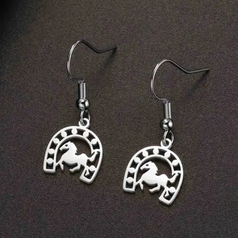 My Shape Horseshoe Drop Earrings for Women  Stainless Steel Animal Horse Dangle Earring Jewelry Horse Lover  Lucky Gift